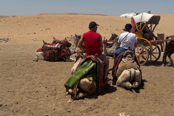 Private Tour to Grand Museum and Pyramids from Alexandria port