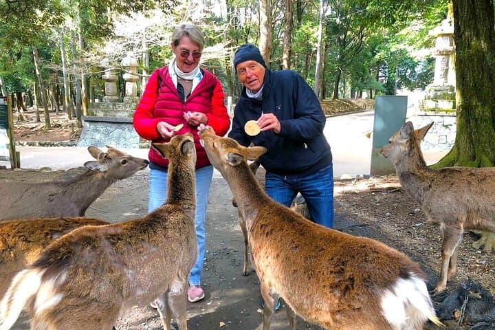 Nara: Half-Day Private Tour of 4 Must-See Spots & Deer Park