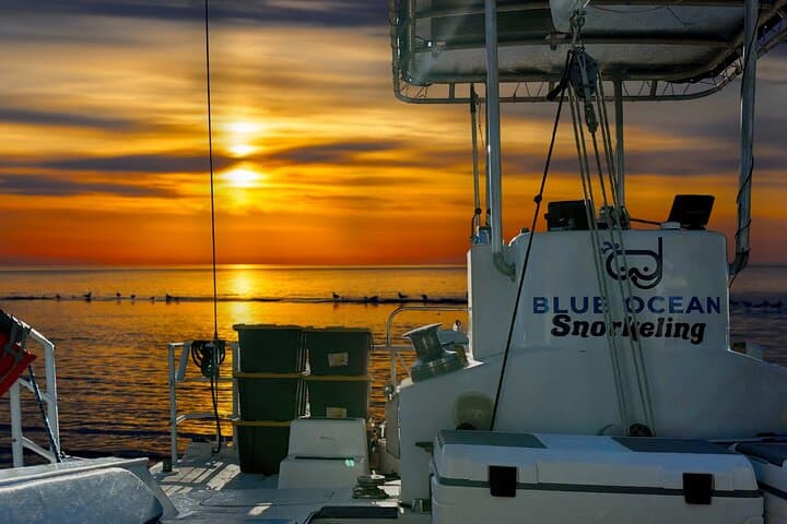 Waikiki Turtle Snorkeling Tour 6 Activities + & Sunset Cruise