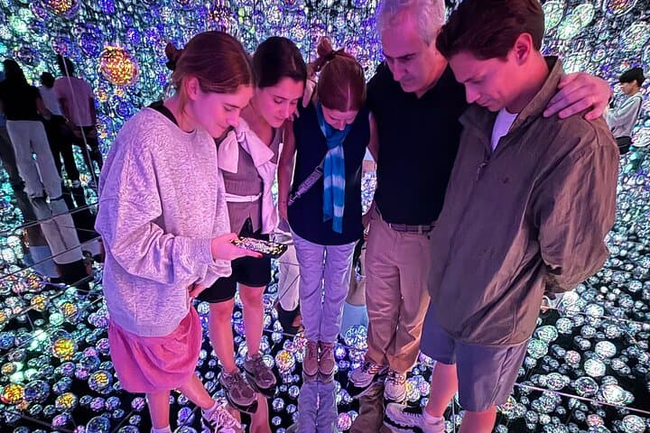 Tokyo Highlights Private Custom Tour with Licensed Guide & Driver