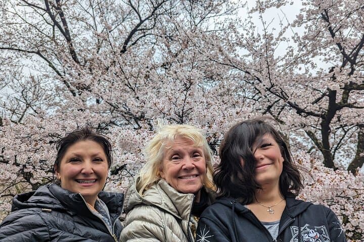 Tokyo Highlights Private Custom Tour with Licensed Guide & Driver
