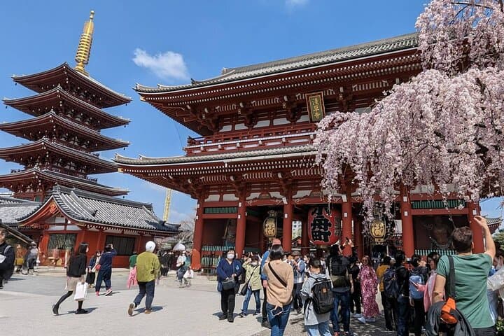 Tokyo Highlights Private Custom Tour with Licensed Guide & Driver