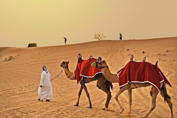 Dubai Desert Safari Adventures