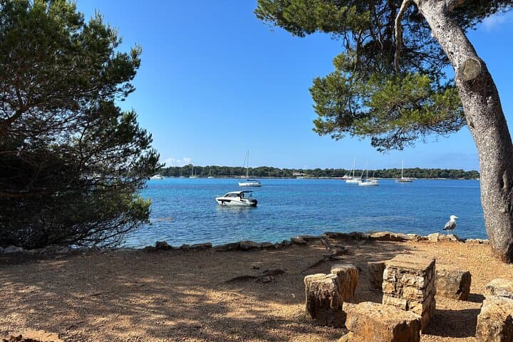 Private Boat Tour from Nice to Monaco, Cannes, Eze or Menton