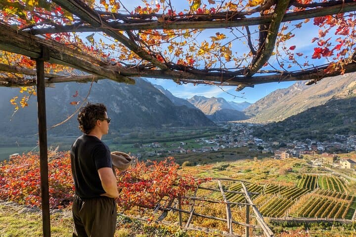With Edo - The Forgotten Wine Roads of Piedmont · From Turin