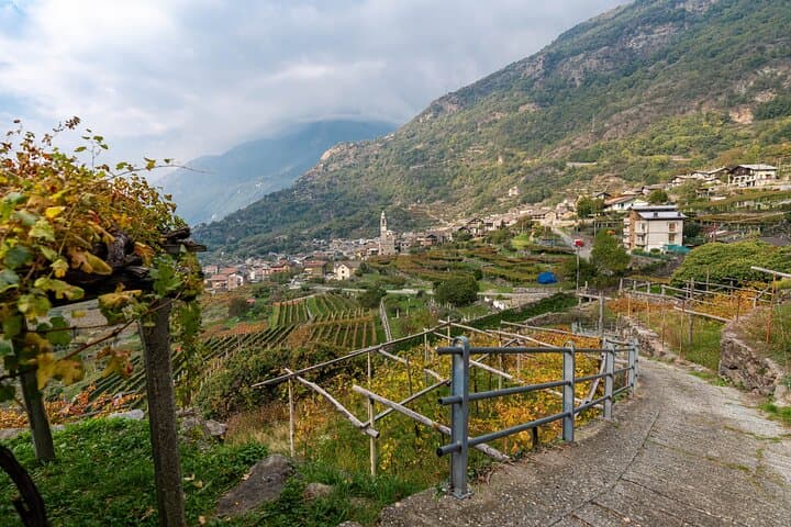 With Edo - The Forgotten Wine Roads of Piedmont · From Turin