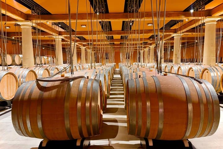 Ultimate Côte de Provence Wine Tasting Tour : Best Crus & Castles