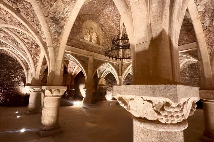 Ultimate Côte de Provence Wine Tasting Tour : Best Crus & Castles