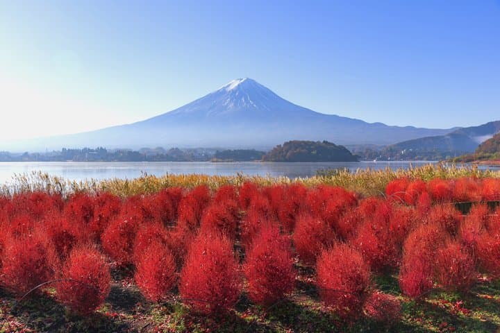 Mount Fuji & Lake Kawaguchi Small Group Tour & Tokyo Hotel Pickup