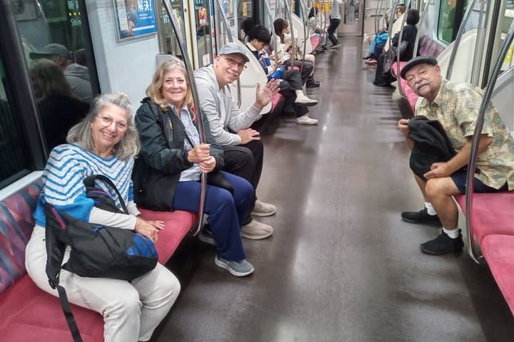 Best of Tokyo Private Tour from Yokohama & Tokyo Ports or Hotels