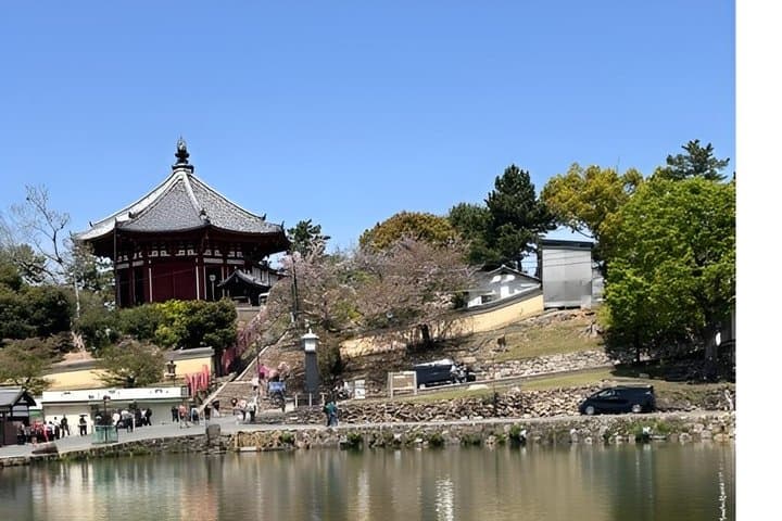Nara Afternoon Sake guided walk: Brewery Visit & Local Streets