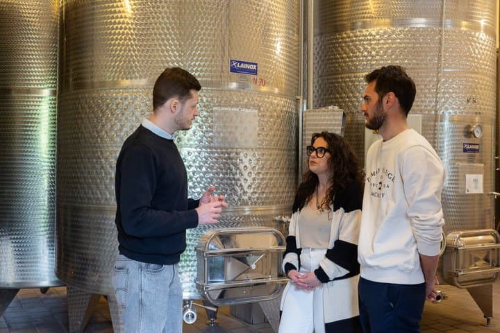 Discover Langhe wines with private tour and expert sommelier