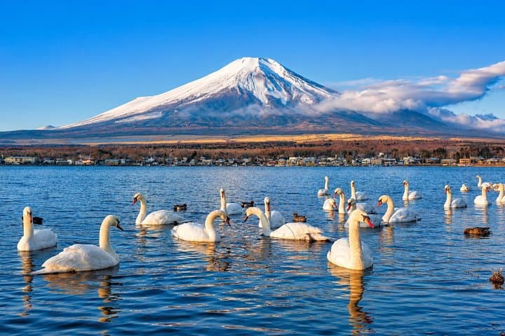 Mount Fuji & Lake Kawaguchi Small Group Tour & Tokyo Hotel Pickup