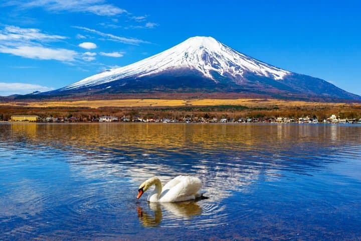 Mount Fuji & Lake Kawaguchi Small Group Tour & Tokyo Hotel Pickup