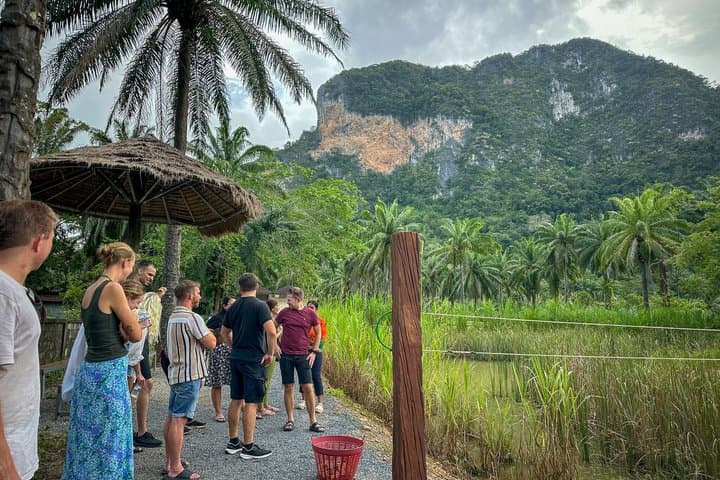 Half-Day Highlight with Elephants (NO-Touching) in Ao Nang