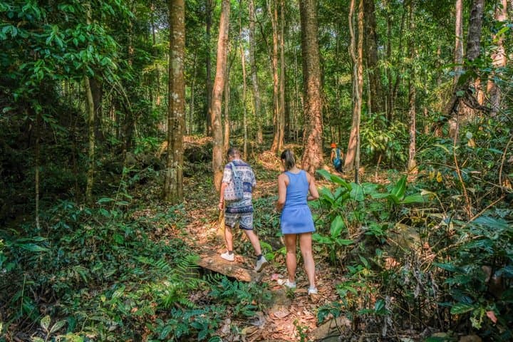Chiang Mai Jungle Coffee Experience: Farm Trek, Roast & Brew.