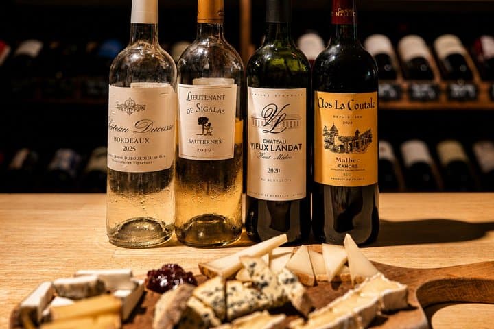 Bordeaux Evening Food Tour with a sommelier
