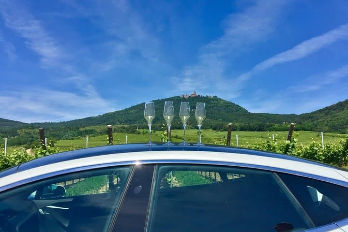 Tasking wine in the vineyard with castle Haut Koenigsbourg in the background